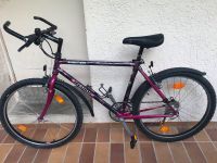 Fahrrad 26 Zoll Stuttgart - Feuerbach Vorschau