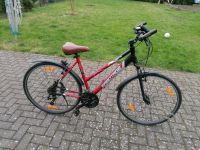 Trekking Fahrrad 28 Zoll Nordrhein-Westfalen - Ahlen Vorschau