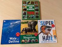 Wissen für Kinder-Tiere, Super Haie, Wale und Delfine, Säugetiere Berlin - Spandau Vorschau