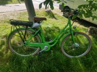 Elektro Fahrrad von SAXONETTE 7Gang mit Rücktrittbremse Niedersachsen - Bergen Vorschau