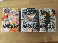 Naruto 1-3 Niedersachsen - Haselünne Vorschau