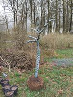 Tupelobaum Nyssa sylvatica 200-250 cm Nordrhein-Westfalen - Engelskirchen Vorschau
