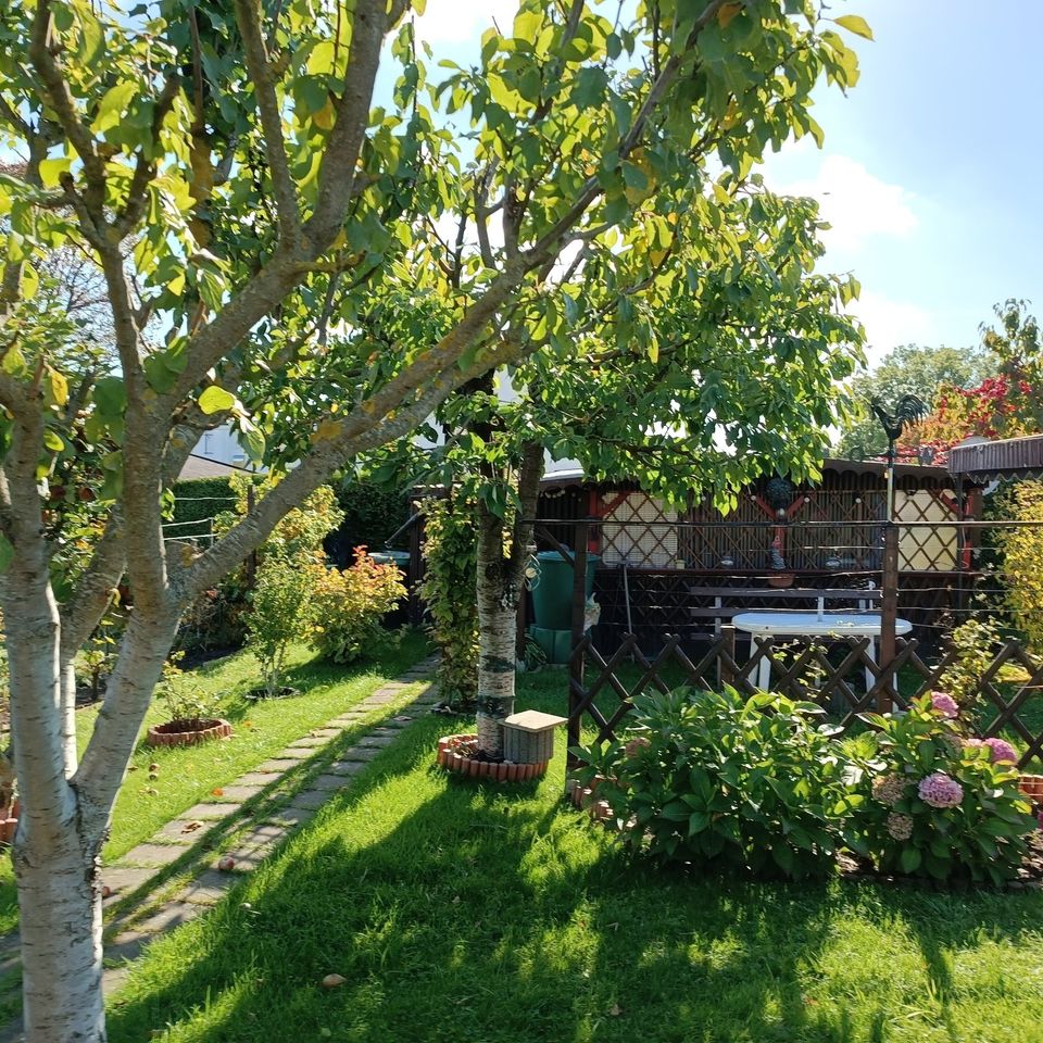 Gartengrundstück Eigentumsland Gartenanlage Eigentümer werden in Friedensstr., 15328 Küstriner Vorland(58km von Berliner Stadtgrenze) in Frankfurt (Oder)