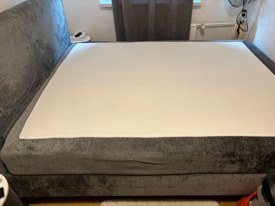 Boxspringbett 160x200 von Mömax in Falkensee