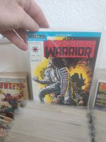 Eternal Warrior 1-50 US Valiant Comic vfn+/nm Nürnberg (Mittelfr) - Südstadt Vorschau