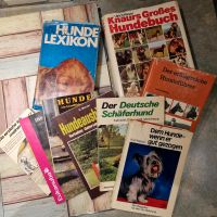 Sachbücher Hunde‍ 9 St . gebraucht Rheinland-Pfalz - Mommenheim Vorschau