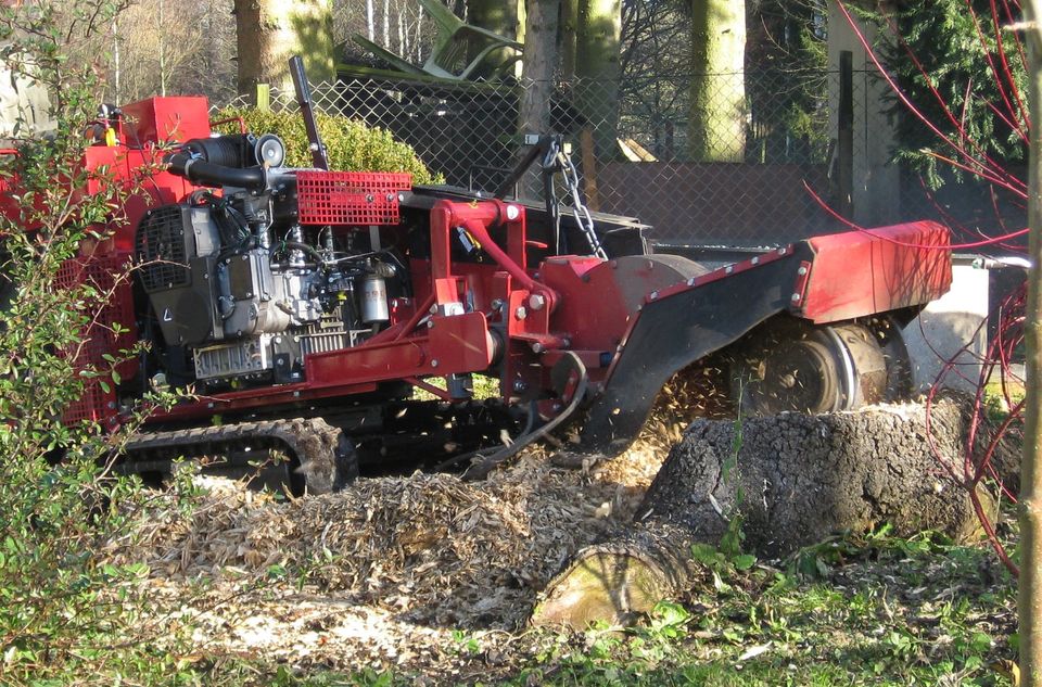 Stubbenfräsen Baumstumpf entfernen Wurzel fräsen in Bad Brambach