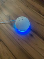 Amazon Alexa Echo dot 4. Generation Wandsbek - Hamburg Bramfeld Vorschau