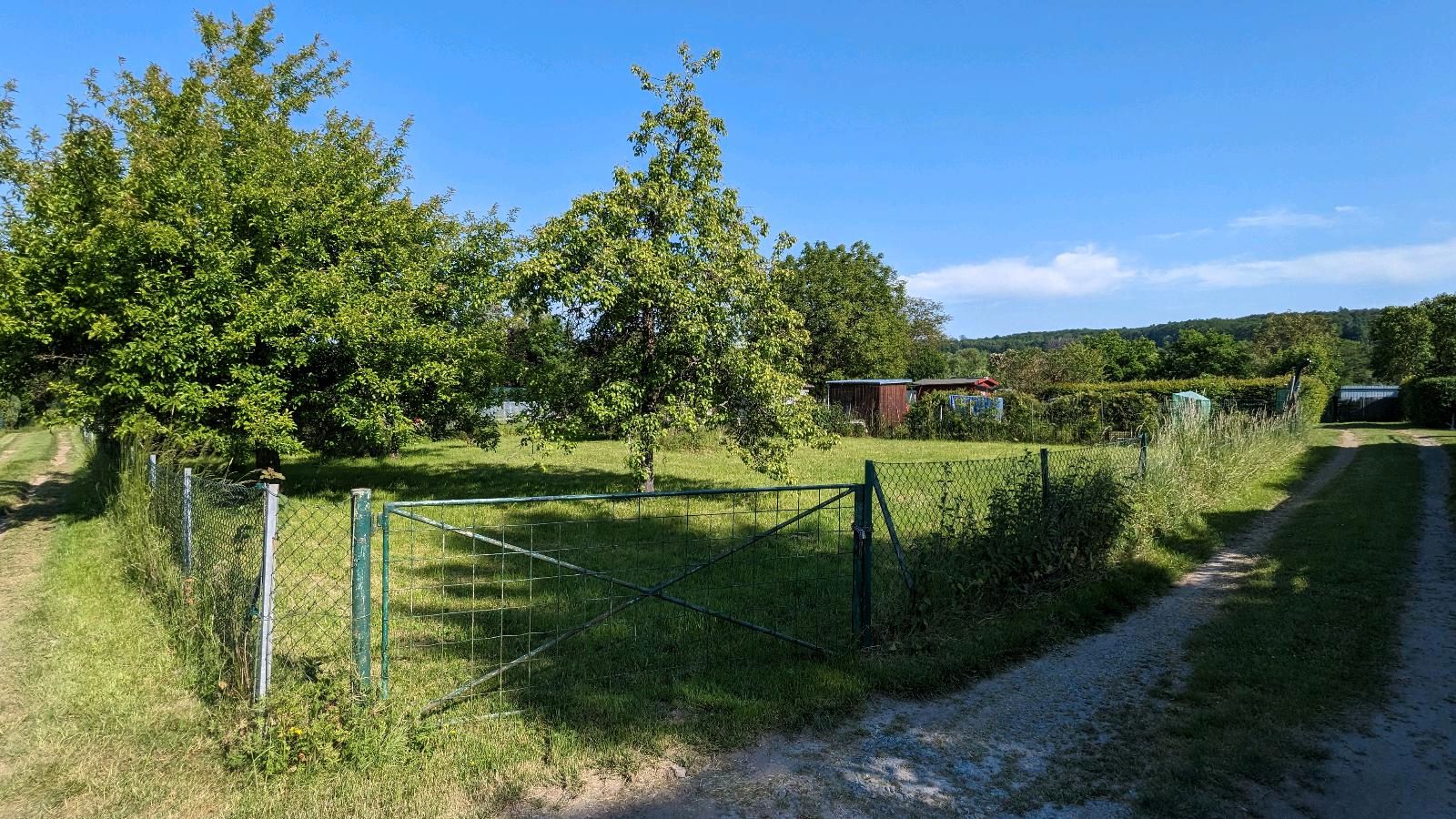 Gesucht Gartengrundstück / Waldgrundstück zum Kauf in Usingen in