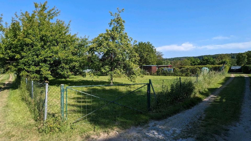 Gesucht Gartengrundstück / Waldgrundstück zum Kauf in Usingen in