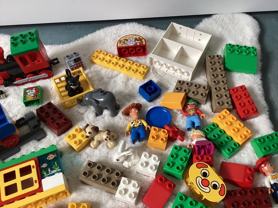 Lego Duplo Set ❤️ Tiere Eisenbahn Zirkus ❤️ Zoohandlung Figuren in Waldkirch