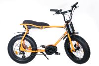 Ruff Cycles Lil'Buddy 20" E-Bike Modell 2021 Bosch Performance CX Baden-Württemberg - Biberach an der Riß Vorschau