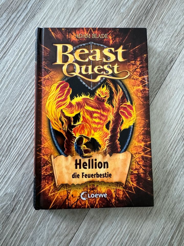 Beast Quest Buch Band 38 Hellion in Teistungen