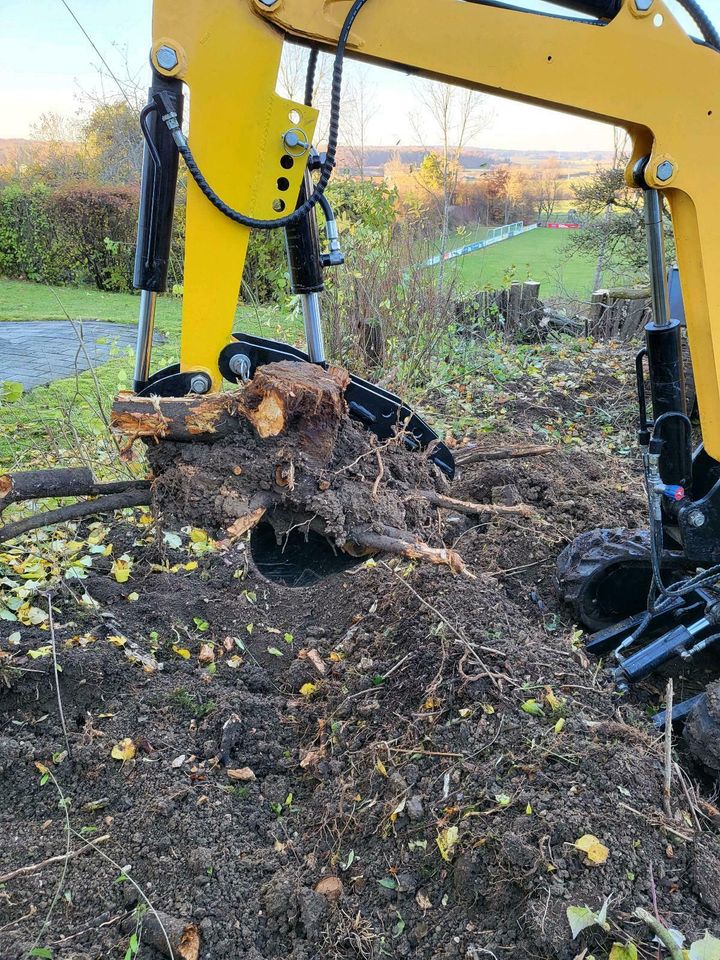 Baumstümpfe, Wurzeln  entfernen schnell,sauber und Preisgünstig in Laichingen