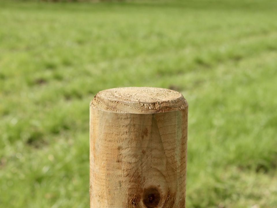 Pferdezaun Weidezaun Koppelzaun Plankenzaun Holzzaun - 1000m SET in Olsberg