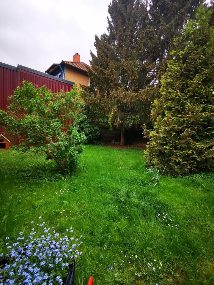 3-Zimmer-Wohnung mit Garten in Walkenried in Walkenried