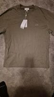 Neues Lacoste T-shirt  (ungetragen) Pankow - Prenzlauer Berg Vorschau