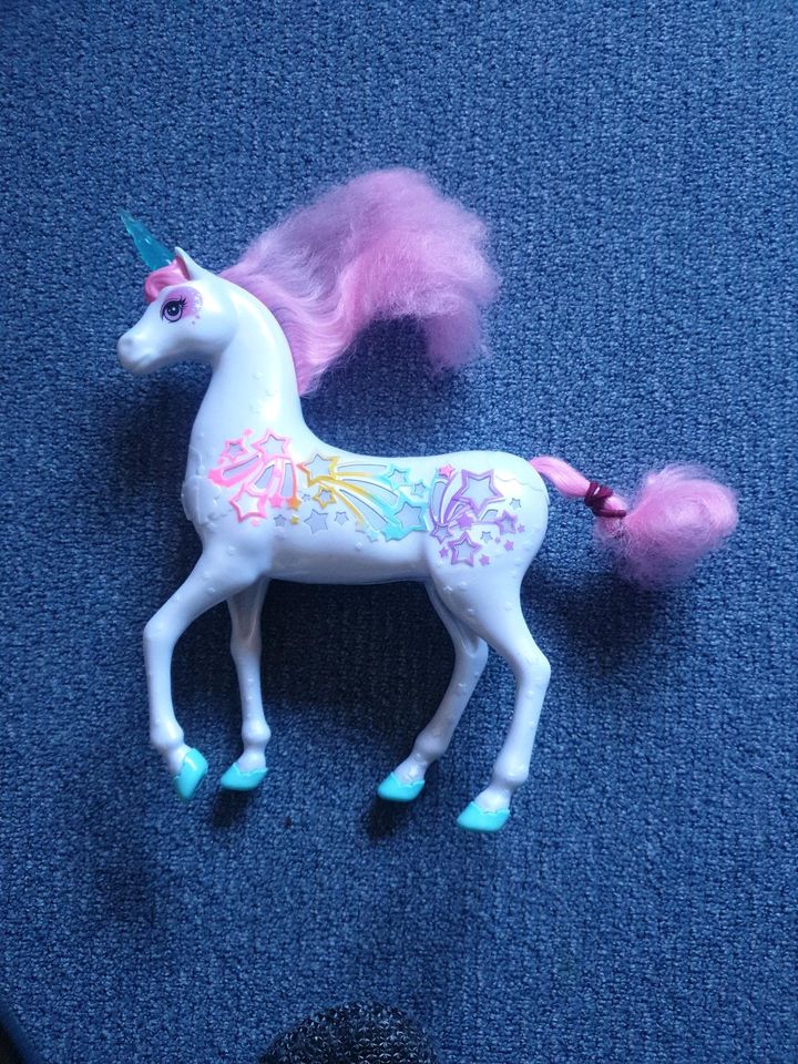 Einhorn Pony Pferd Spielzeug Kindertag Geschenk in Kirchberg