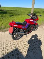 GPZ 500s, Bj.1995, 34PS, Reifen, Kette neu, A2 tauglich, TÜV 4/25 Sachsen - Groitzsch Vorschau