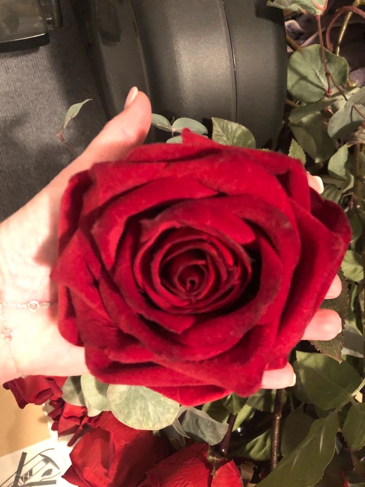 Großer Samt- Kunst Rosen in rot 10 Stück in Hückelhoven