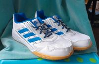 Adidas Turnschuhe weiss Hallenschuh Gr.38 Eimsbüttel - Hamburg Schnelsen Vorschau