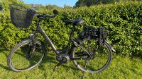 E-Bike Damen Nordrhein-Westfalen - Brakel Vorschau