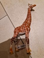 Schleich Giraffe neu Rheinland-Pfalz - Kobern-Gondorf Vorschau