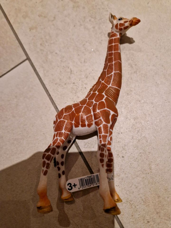 Schleich Giraffe neu in Kobern-Gondorf
