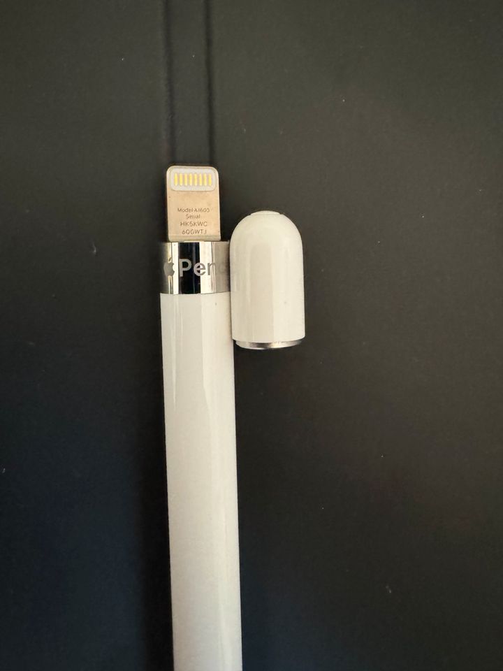 Apple pen 1. Gen (Lightning Cable Anschluss) mit USB-C Adapter in Ingolstadt