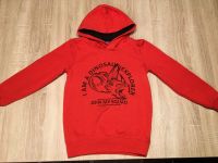 Pullover mit Kapuze Hoodie Kapuzenshirt Dino - Gr. 122-128 Schwerin - Friedrichsthal Vorschau