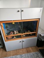 Aquariumschrank/Terrariumschrank Baden-Württemberg - Tettnang Vorschau