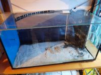 Aquarium 54l 30x30x60 Nordrhein-Westfalen - Beelen Vorschau