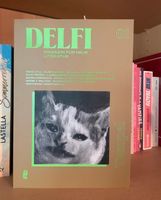 DELFI Magazin für neue Literatur erste Ausgabe ungelesen neu Niedersachsen - Scharnebeck Vorschau