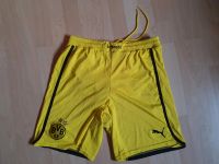 BVB Dortmund Sporthose M (Puma) Baden-Württemberg - Magstadt Vorschau