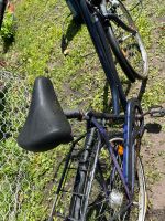 Damen Fahrrad Brandenburg - Kolkwitz Vorschau