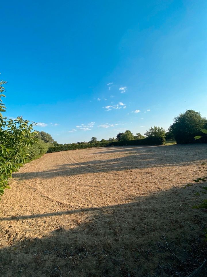 Offen-/Laufstall Plätze frei Pferdepension in Zachow