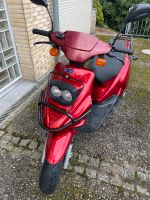 Pegasus Sky 50ccm Roller, Mofa, 45/50 km/h, 2-Takter Nordrhein-Westfalen - Eitorf Vorschau