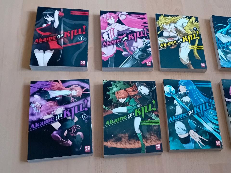 Akame ga kill 1-6 (Kaze) in Stuttgart