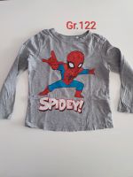 Spiderman Sweatshirt Gr.122 Hannover - Bothfeld-Vahrenheide Vorschau