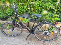 Herrenfahrrad, KS-Cycling, 28er Nordrhein-Westfalen - Detmold Vorschau