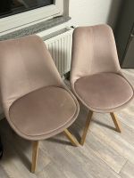Zwei samt Stühle zu verkaufen Nordrhein-Westfalen - Erkrath Vorschau