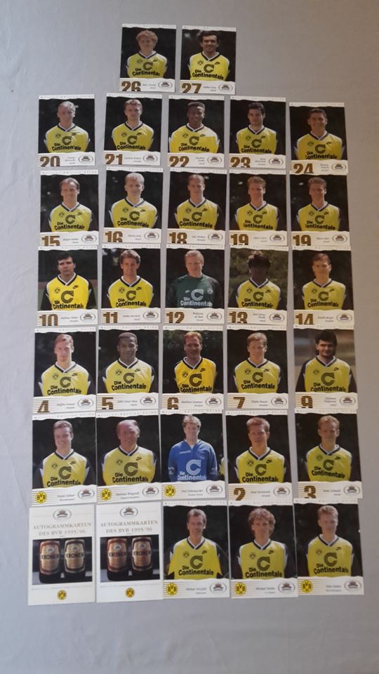 ca. 300 x BVB Autogrammkarten Borussia Dortmund 1982 - 2021 in Jerxheim