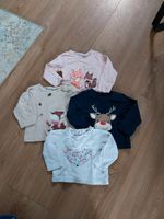 62 Shirt Oberteil Hemd langarm Fuchs Reh Blumen rosa blau Brandenburg - Brieselang Vorschau