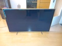 Philips 58PUS8105 / Display defekt Bayern - Bad Neustadt a.d. Saale Vorschau