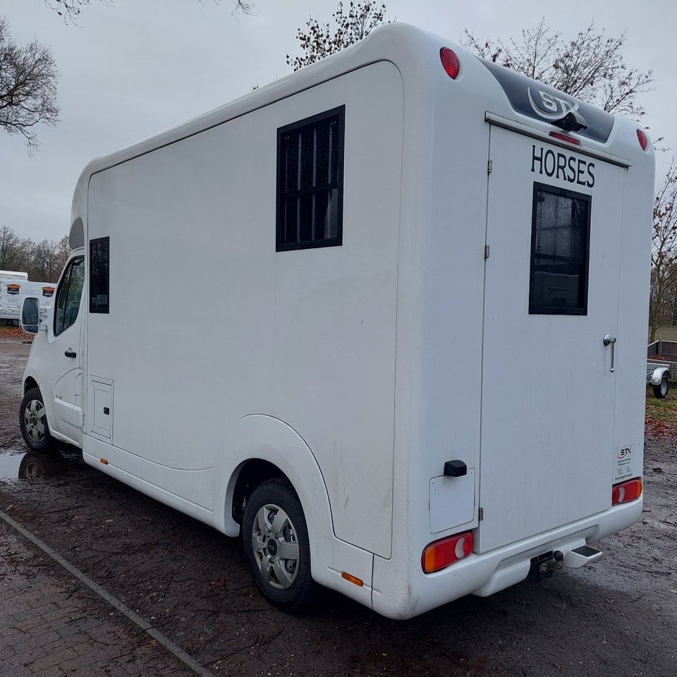 Pferdetransporter STX Horsebox Opel 3,5 t gebraucht, 5-Sitzer in Großderschau