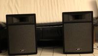 2 Passivboxen Peavey Messenger Pro-15 Nordrhein-Westfalen - Beckum Vorschau