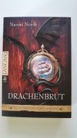 Drachenbrut, fantasy  Jugendbuch Hessen - Schöneck Vorschau