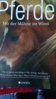 Bücher, hauptsächlich Pferdegeschichten Bayern - Arzberg Vorschau