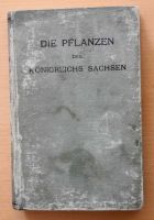 Buch Die Pflanzen des Königreichs Sachsen von O. Wünsche, 1904 Berlin - Pankow Vorschau