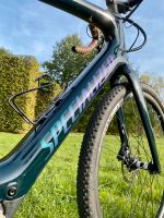 Gravelbike Specialized Creo Expert Evo Größe XL E-Bike ~14,5kg Rheinland-Pfalz - Wittlich Vorschau